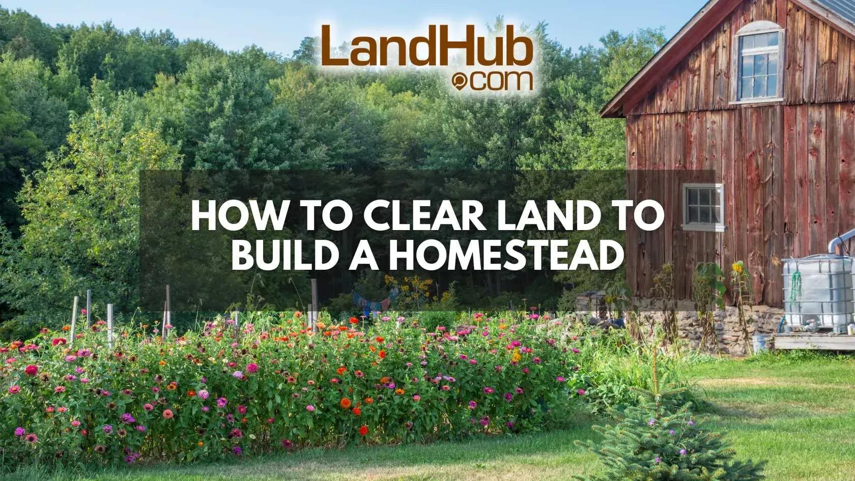 how to clear land to build a homestead