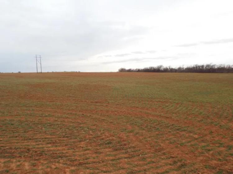93 Acres Cropland & Timber