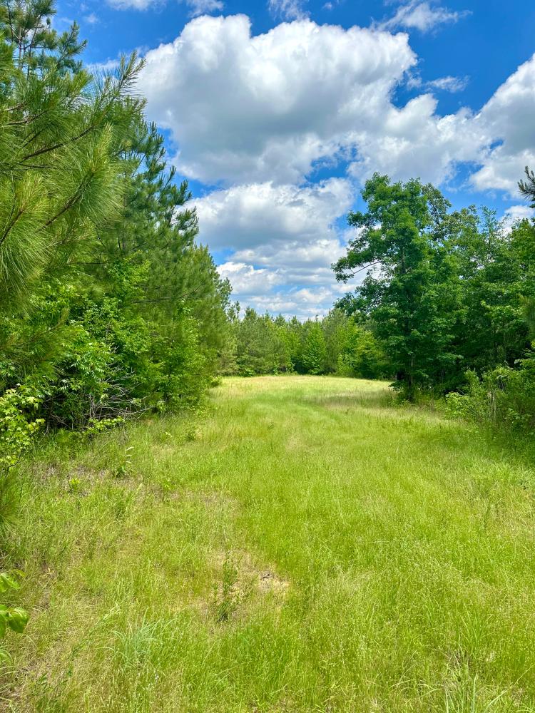94 Acres in Attala County, MS