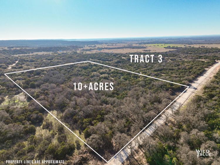 Under Contract!! 5.0 Acres, Taylor County (Tract 7)