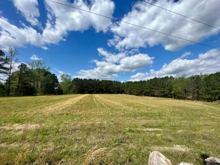 4.97 Acres at 0 pilot-riley rd