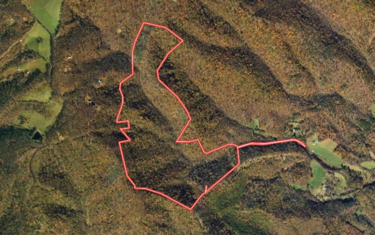181.74 acres of Recreational / Hunting and Timber Land For Sale in Franklin County VA!