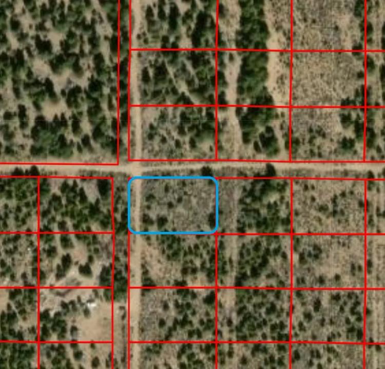 Corner Lot.  1/2 acre.  Taos county New Mexico.  No restrictions.