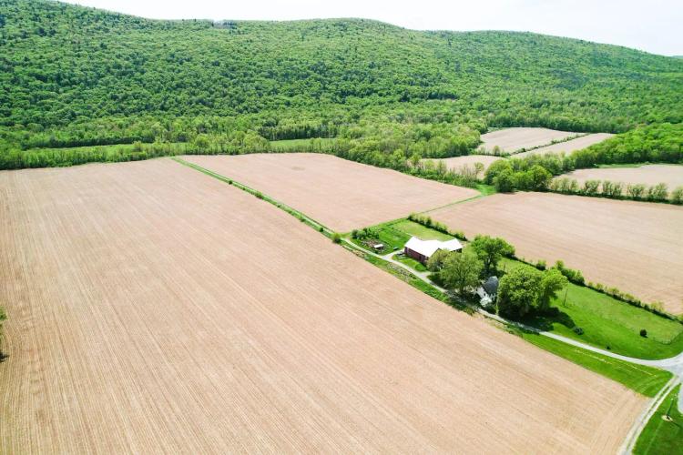 LYCOMING COUNTY - NIPPENOSE RD, JERSEY SHORE - 218 +/- ACRES