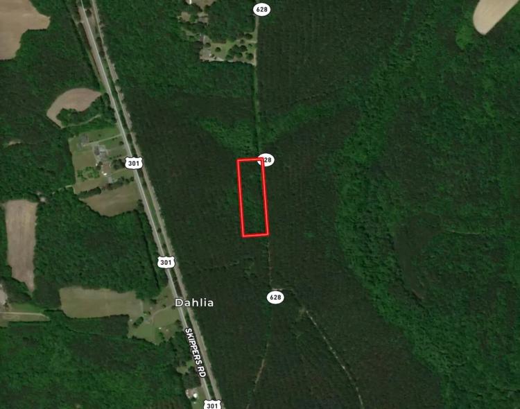 3 acres for a Custom Home Site in Greensville County VA!