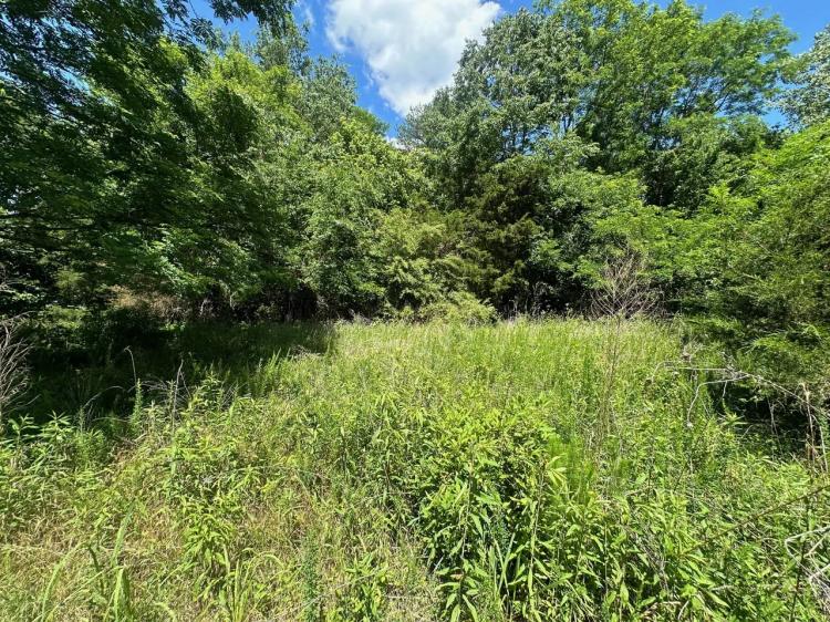 2.25+/-acres Wooded Lot Near Chattanooga