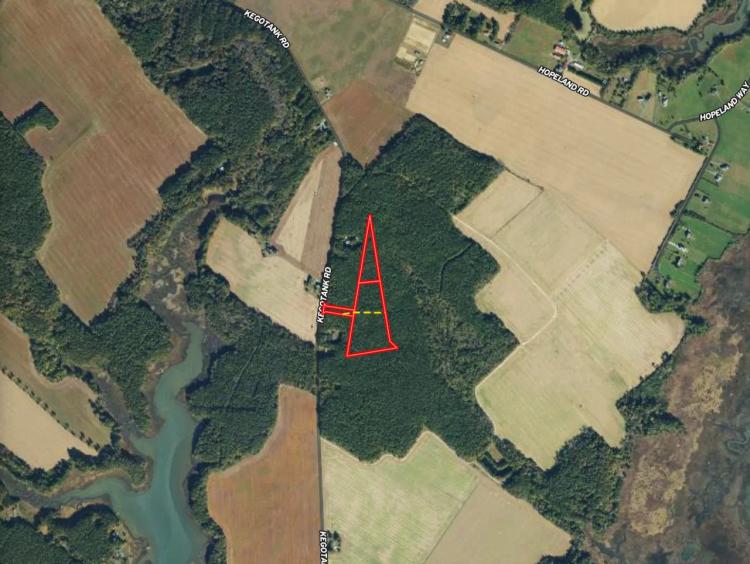 UNDER CONTRACT!!  10.5 acres of Timber Land For Sale in Accomack County VA!