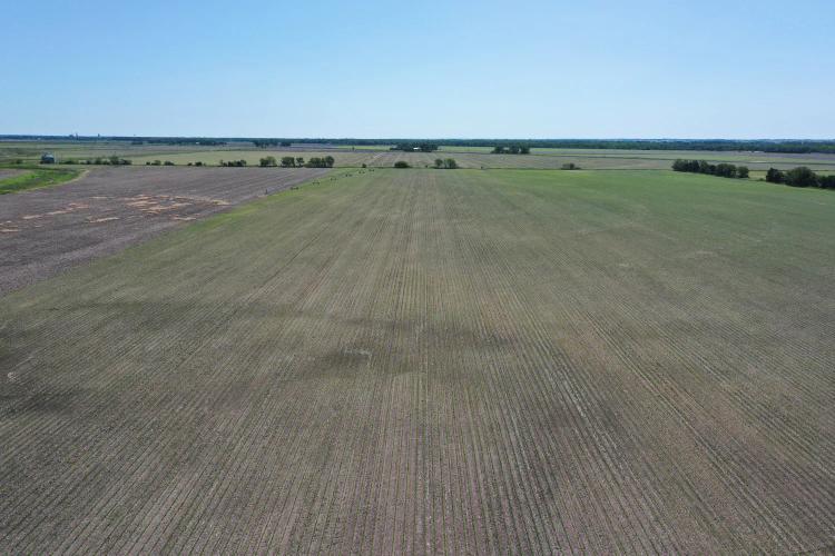 154.84 +/- Acre Irrigated Farm in Merrick County, Nebraska