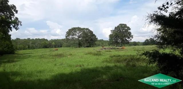 31 ac - Pasture Land for Rural Home Site
