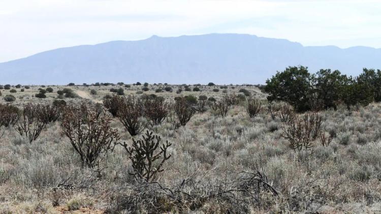 Huge Sandia Mountain Views from this Spacious 1 acre parcel