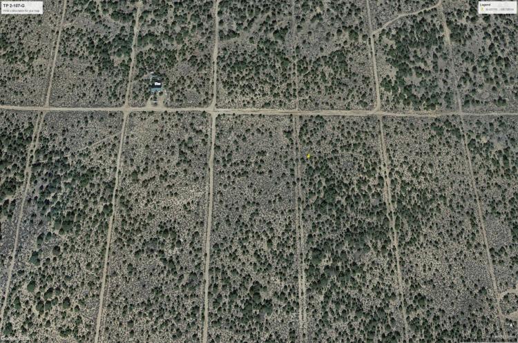 1/2 acre Parcel with Trees - Taos County New Mexico
