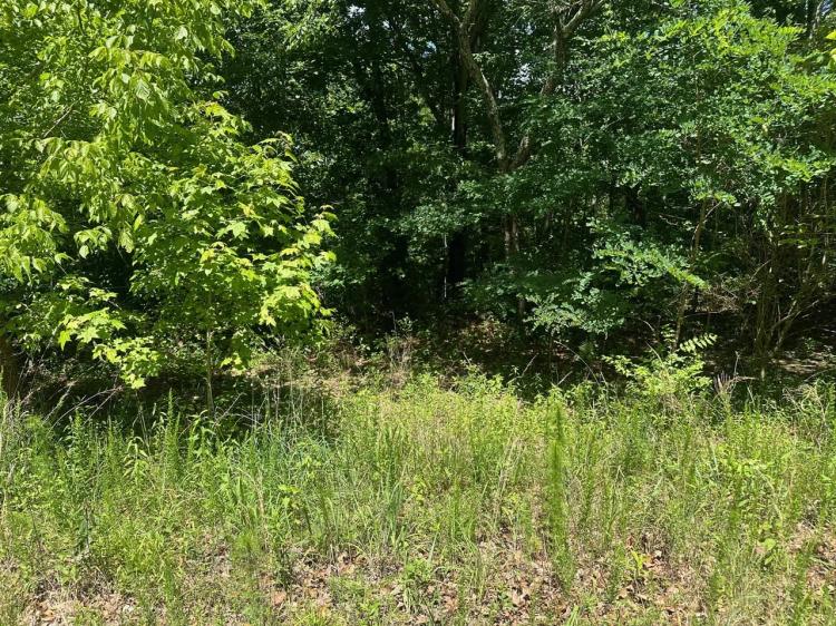2.28+/-acres Wooded Lot Near Chattanooga