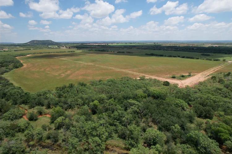 New Listing!! 16+/- Acres, Taylor County (Tract 2)