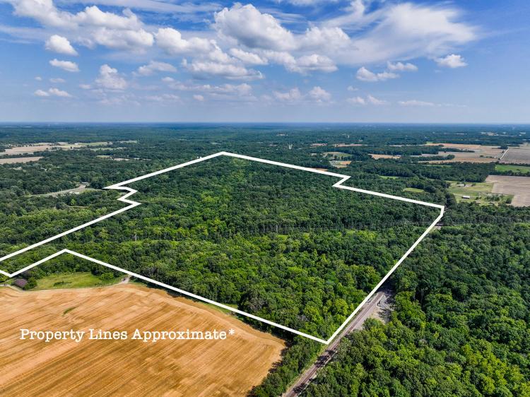 Approximately 133 acres of rolling hills and wooded bliss in Dix, IL