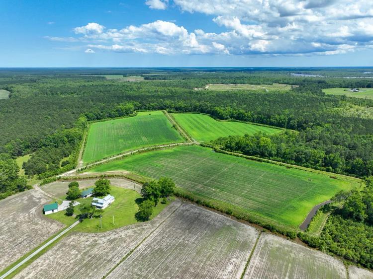 UPDATED!!  280 acres of Land and Farmhouse For Sale in Tyrrell County NC!