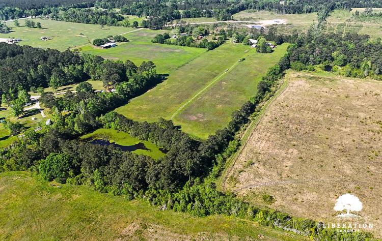 DAYTON Tract 3 | 12+ Acres | Only $15K Down
