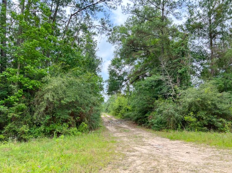 Seller Financing: 16 Acres | Old Arco Road | A-13 | Silsbee Stake