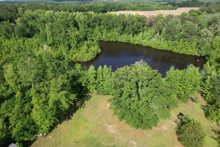 PENDING! 15+/- ACRES WITH POND