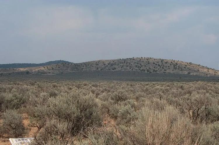 Northern New Mexico 1/2 acre Parcel Taos