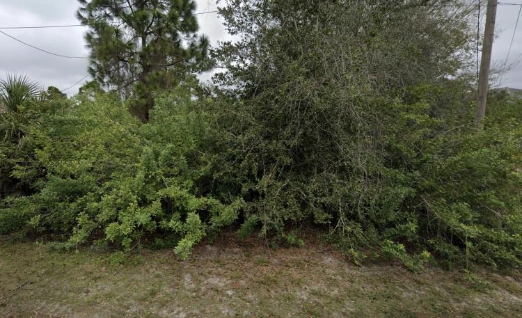 Build Your Dream Home on this .18-Acre Lot in Scenic Tropical Gulf Acres Near Bissett Park!