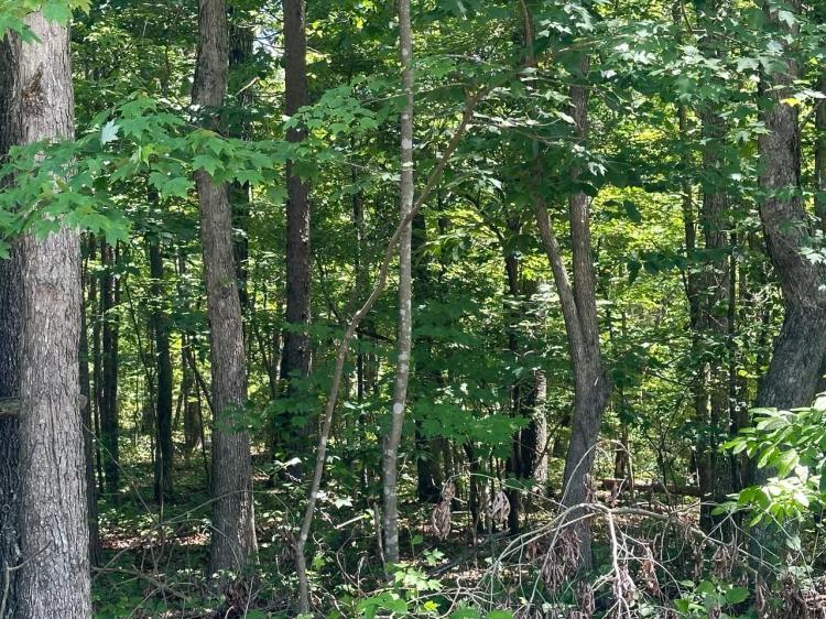 2.65+/-acres Wooded Lot Near Chattanooga