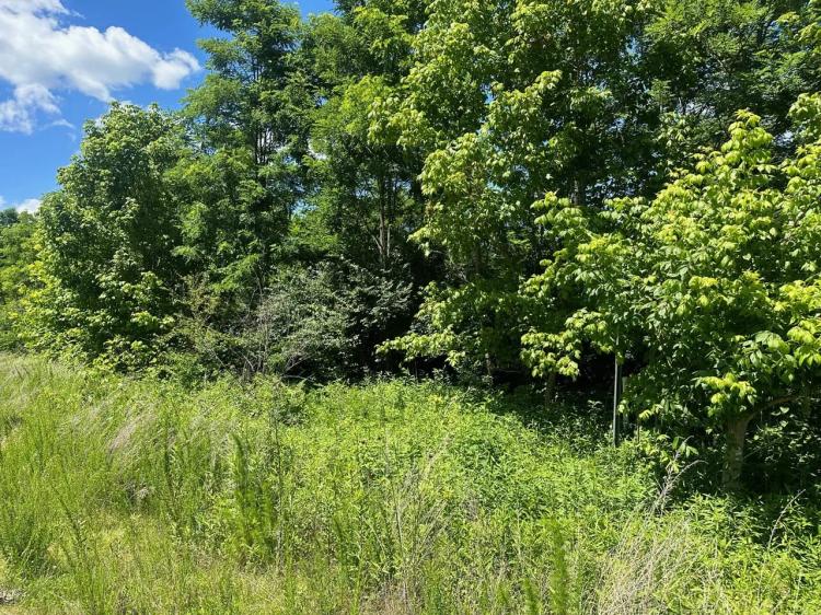 2.09+/-acres Wooded Lot Near Chattanooga