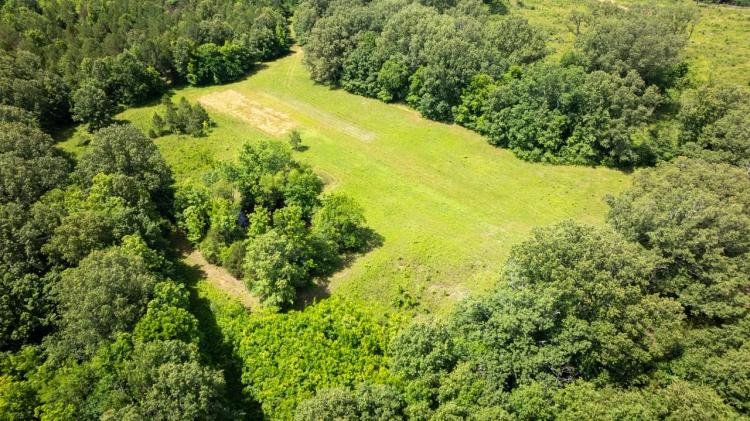 Beautiful 200 acre timber tract in the Prairie!