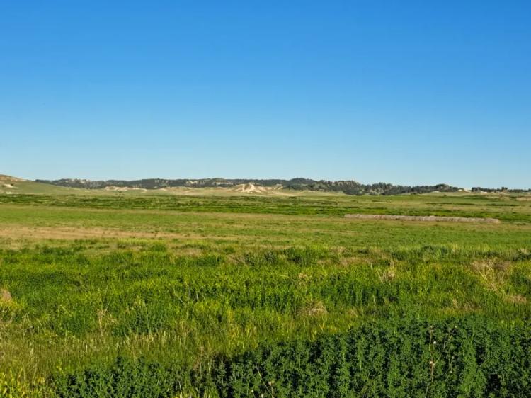320 Acres +/- Nebraska Land for Sale