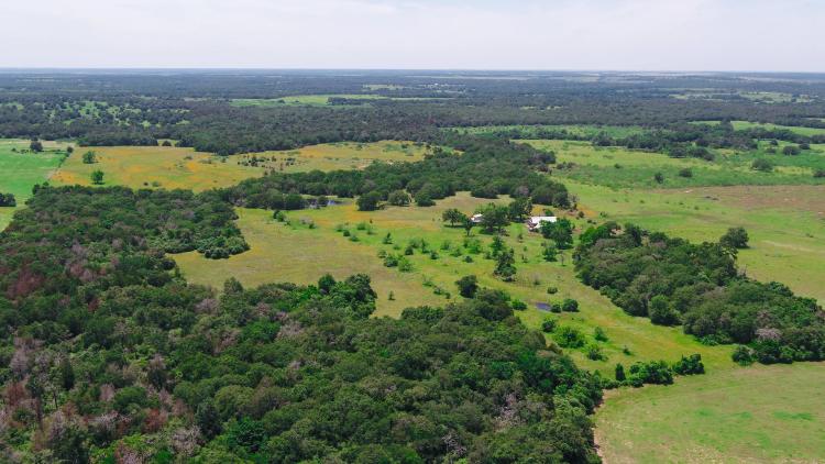126 Acres in Milam County