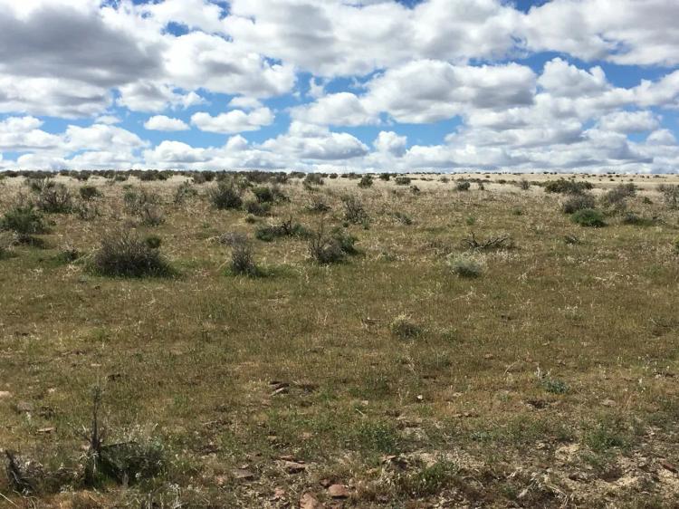 Nearly Ten Acres with Platted Road Access - Southeastern Oregon