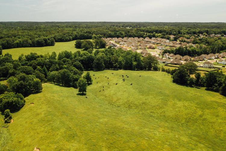 86 Acres with a Home in Lafayette County, MS