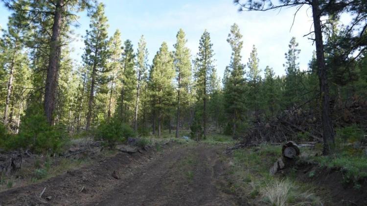 10 acres on the Hill with trees - Easterly Views - 15 miles to Lakeview Oregon